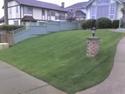 New sod (After)