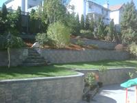 Click to view album: Sloped Rear Yard